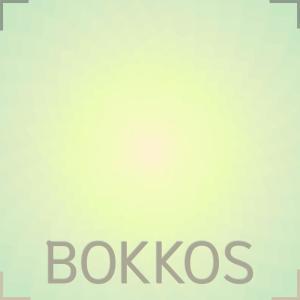 Listen to Bokkos song with lyrics from Jeron Chriso
