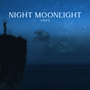 Album Night Moonlight Vibes (Binaural Dreamscape, Sounds of Creation, Deep Sleep and Heavy Eyes) from Binaural Healing
