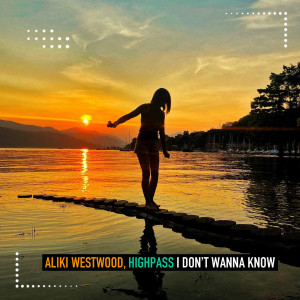 Album I Don't Wanna Know from 
