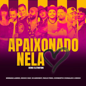 收聽Bárbara Labres的Apaixonado Nela (Remix Eletrofunk)歌詞歌曲
