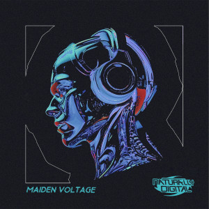 Various Artists的專輯Maiden Voltage