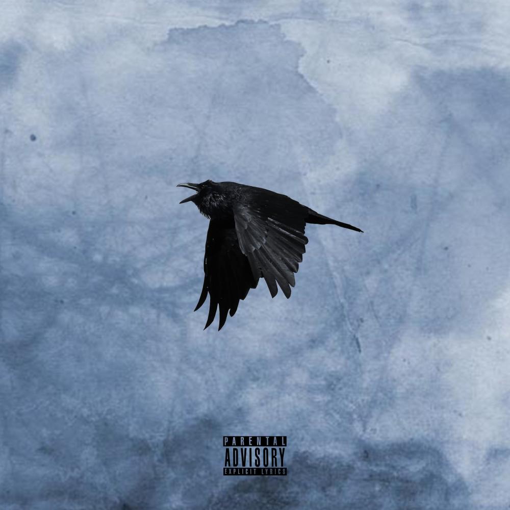 Reflections (Explicit)