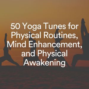 Listen to Yogis Choice Peaceful Music, Pt. 4 song with lyrics from Hatha Yoga Maestro