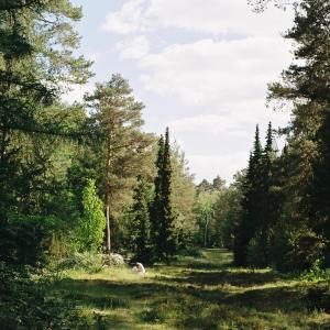 收聽Indigo Blue的coming closer to god歌詞歌曲