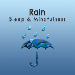 收聽Sleepy Times的Summer Rain Sleep Relaxation Sounds, Pt. 59歌詞歌曲