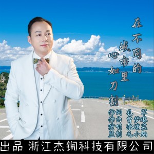 Album 在不同的城市里心如刀割 from 