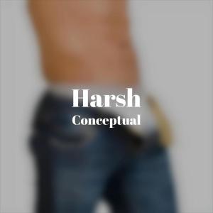Various Artists的專輯Harsh Conceptual