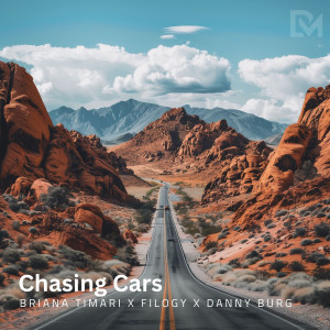 อัลบัม Chasing Cars ศิลปิน Danny Burg