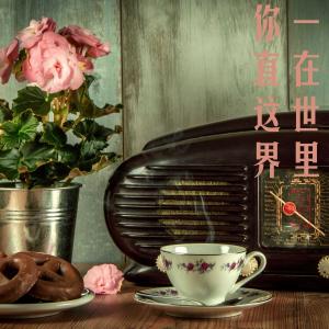 收聽張酷的你一直在這世界裡歌詞歌曲