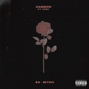 Listen to Ex-Bitch (Explicit) song with lyrics from Cassow