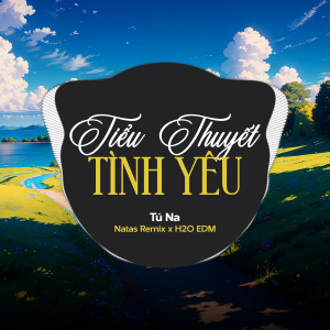 Tú Na的專輯Tiểu Thuyết Tình Yêu (EDM)