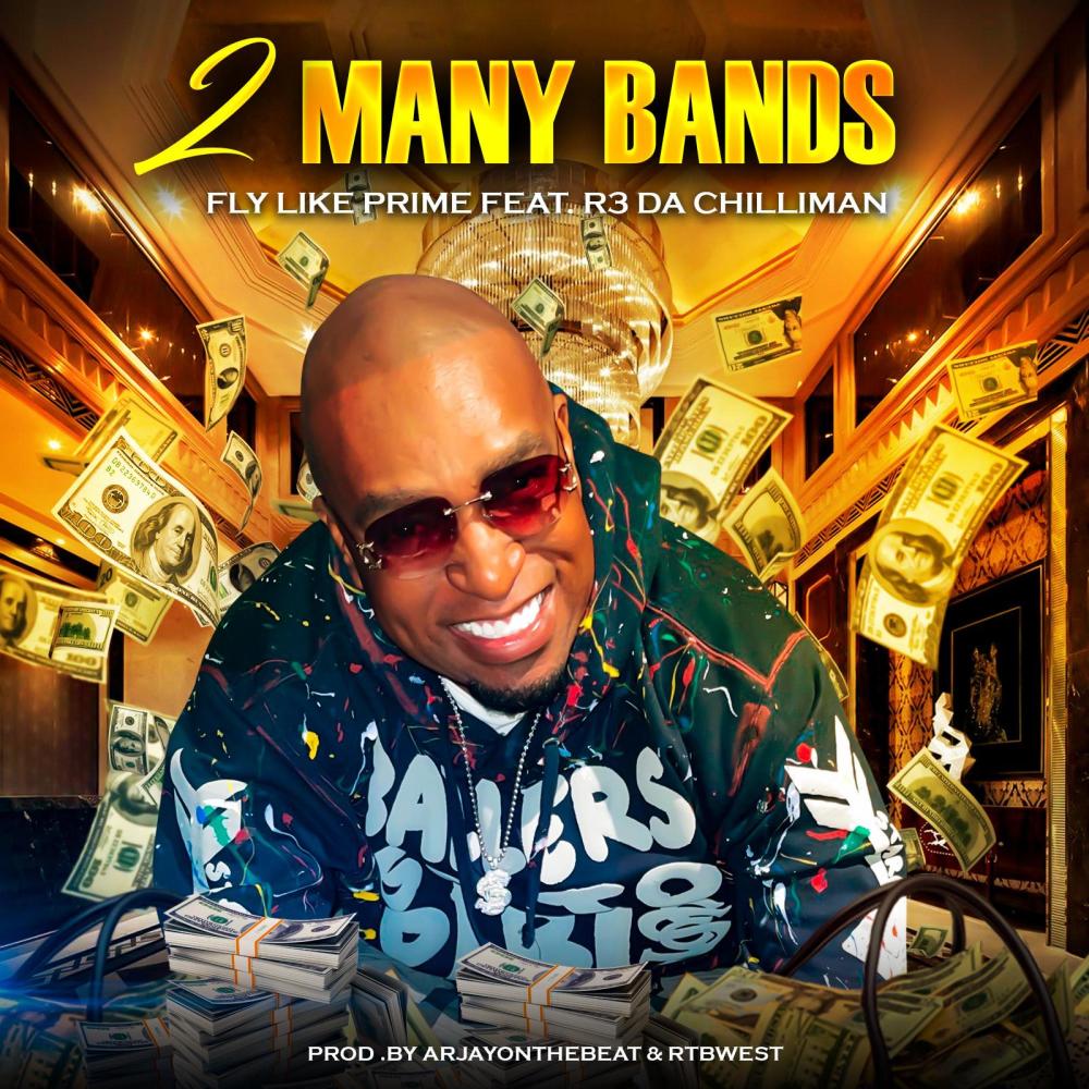 2 MANY BANDS (Explicit)