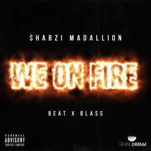 ShabZi Madallion的专辑We On Fire