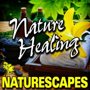 收聽Naturescape的Quick Moving Mountain Stream歌詞歌曲