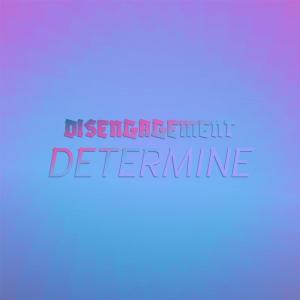 Listen to Disengagement Determine song with lyrics from Dris Selo