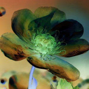 Aoi Moon的專輯Into Myself (Slowed)