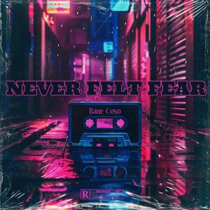 收聽Bane Coso的NEVER FELT FEAR (Explicit)歌詞歌曲