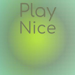 Various Artists的專輯Play Nice