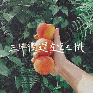 Album San Nian Hou Hai Zai Chi San Tao from 鹅