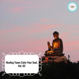 Listen to Spiritual Temple Mornings song with lyrics from Allison Druzik