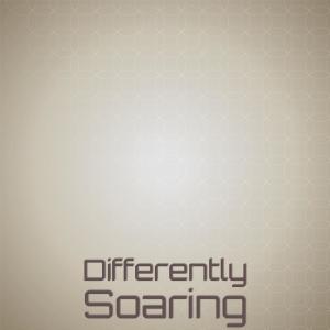 Album Differently Soaring oleh Various