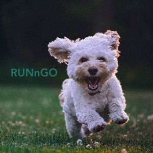 Listen to RUNnGO song with lyrics from Critical Punch