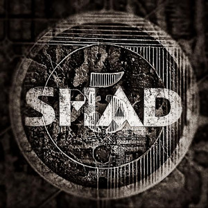 Dengarkan Belittle lagu dari Shad dengan lirik