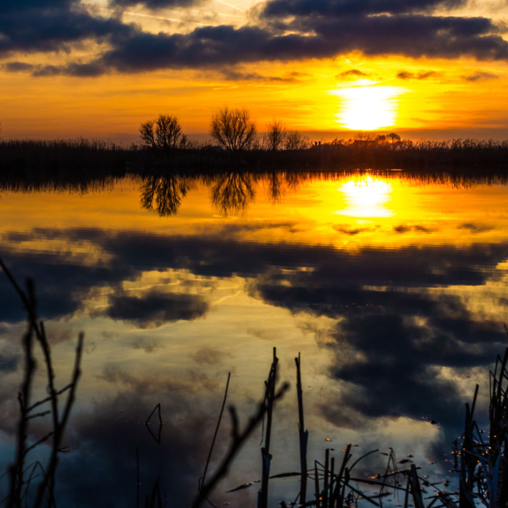 Peaceful Moment