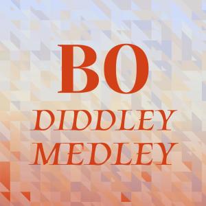 Listen to Bo Diddley Medley song with lyrics from LADY BO