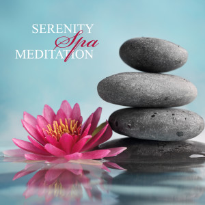 Listen to Reduce Stress song with lyrics from Natural Zen Meditation White Noise