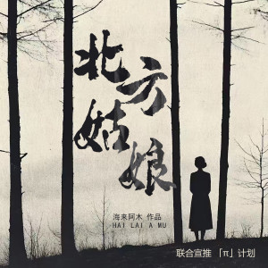 收聽海來阿木的北方姑娘 (DJ默涵版)歌詞歌曲