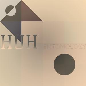 ดาวน์โหลดและฟังเพลง Huh Entomology พร้อมเนื้อเพลงจาก Shaa Piter