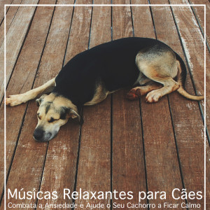 Album Músicas Relaxantes para Cães: Combata a Ansiedade e Ajude o Seu Cachorro a Ficar Calmo oleh Relax My Puppy
