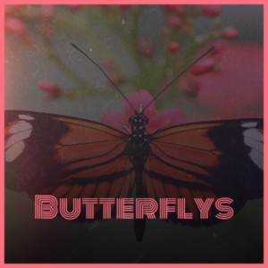 Listen to Butterflys song with lyrics from Mara J Boston