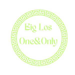 Big Los的專輯One&Only