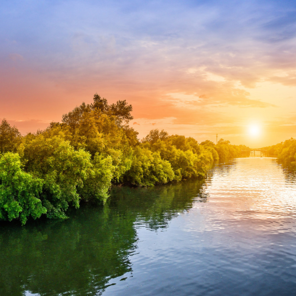 River's Serene Rhythms