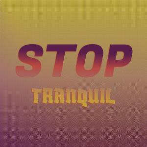 Album Stop Tranquil oleh Various