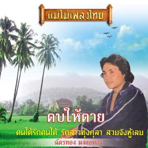 Album แม่ไม้เพลงไทย ชุด ตบให้ตาย oleh ฉัตรทอง มงคลทอง