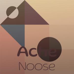 Album Ache Noose from Various