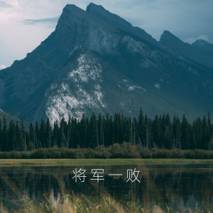 Album 将军一败 from 亲哥
