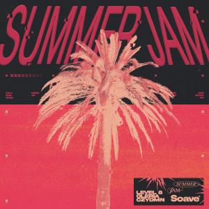 Level 8的專輯Summer Jam