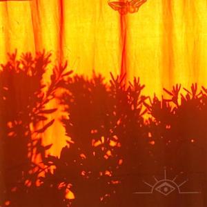 Album SUNRISE (feat. DONNA & EXPLANATORY BEATS) (Explicit) from XOZY