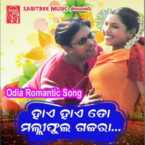 Listen to Hai Hai to Malli Phula Gajara song with lyrics from Shakti Mishra