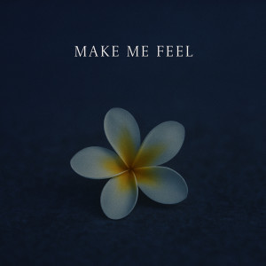 Listen to Make Me Feel song with lyrics from Wil lael
