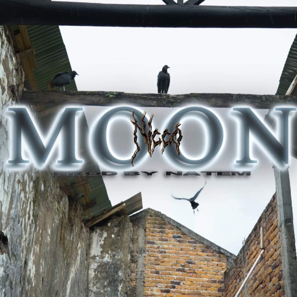 Moon(feat. Nicco) (Explicit)