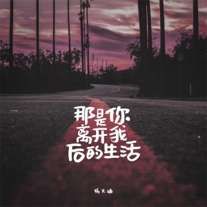 Album 那是你离开我后的生活 from 杨又涵