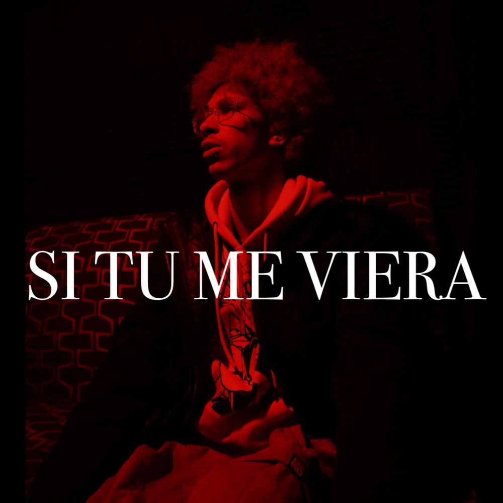 Si Tu Me Viera
