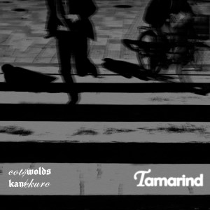 Tamarind (Explicit) dari Cotswolds
