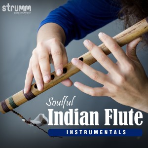 Various Artists的專輯Soulful Indian Flute Instrumentals