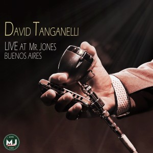 收聽David Tanganelli的Girls Just Wanna Have Fun (Live)歌詞歌曲